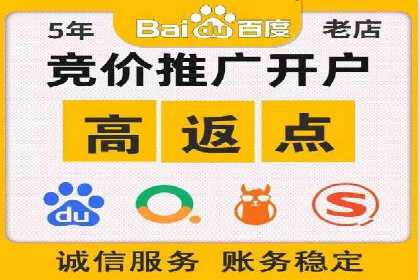 提升关键词竞价排名转化率：经典案例解析